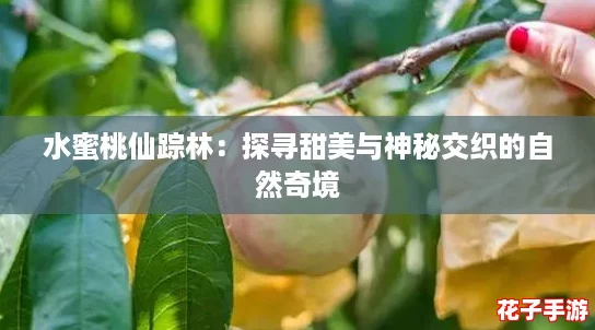 水蜜桃仙踪林:探寻甜美与神秘交织的自然奇境 水蜜桃仙踪林:探寻甜美与神秘交织的自然奇境