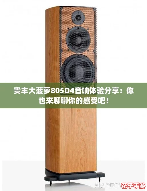 贵丰大菠萝805D4音响体验分享：你也来聊聊你的感受吧！