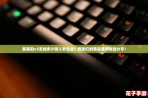 黑寡妇v3无线多少钱入手合适?网友们的真实使用体验分享! 黑寡妇v3无线多少钱入手合适?网友们的真实使用体验分享!