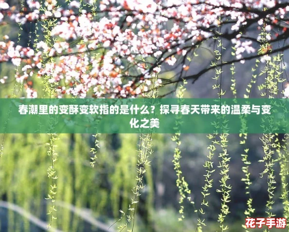 春潮里的变酥变软指的是什么？探寻春天带来的温柔与变化之美