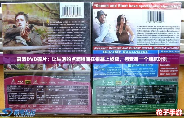 高清DVD碟片：让生活的点滴瞬间在银幕上绽放，感受每一个细腻时刻