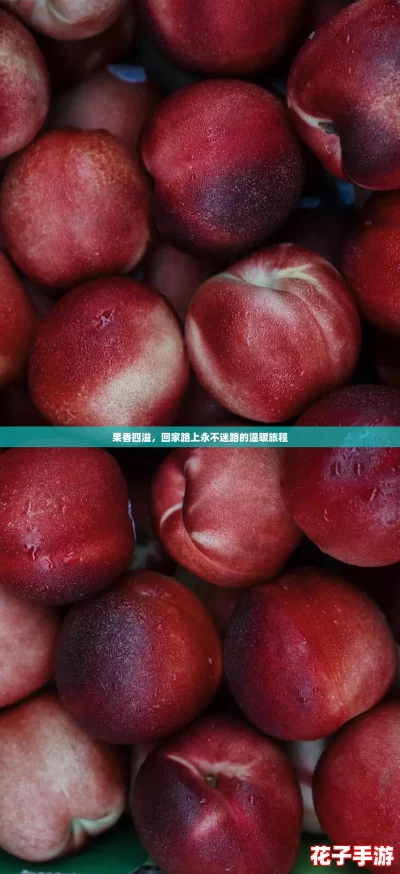 果香四溢，回家路上永不迷路的温暖旅程