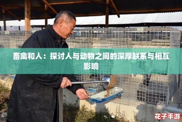 畜禽和人：探讨人与动物之间的深厚联系与相互影响