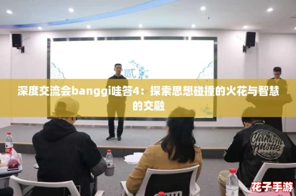深度交流会banggi哇答4：探索思想碰撞的火花与智慧的交融