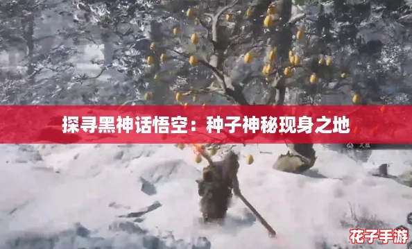 探寻黑神话悟空：种子神秘现身之地