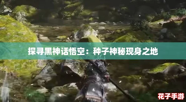 探寻黑神话悟空:种子神秘现身之地 探寻黑神话悟空:种子神秘现身之地