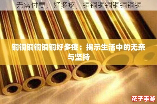 铜铜铜铜铜铜好多疼：揭示生活中的无奈与坚持