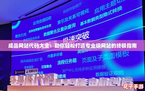 成品网站代码大全：助你轻松打造专业级网站的终极指南