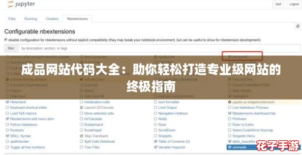 成品网站代码大全：助你轻松打造专业级网站的终极指南