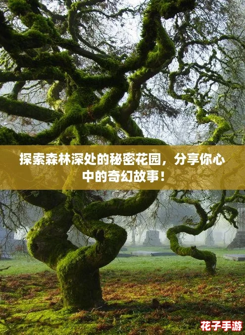 探索森林深处的秘密花园，分享你心中的奇幻故事！