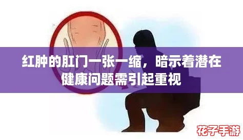 红肿的肛门一张一缩，暗示着潜在健康问题需引起重视