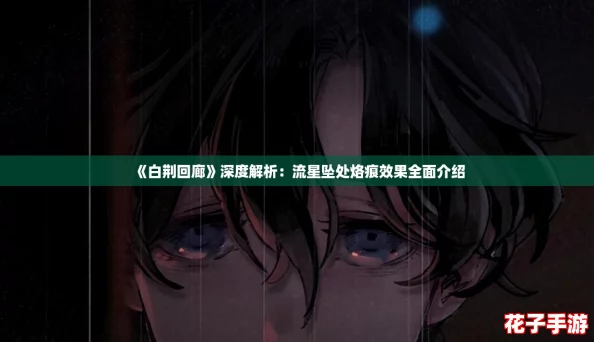 《白荆回廊》深度解析：流星坠处烙痕效果全面介绍