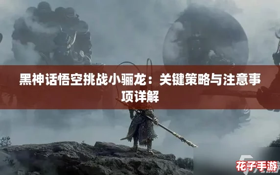 黑神话悟空挑战小骊龙：关键策略与注意事项详解