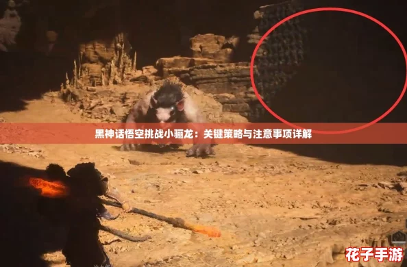 黑神话悟空挑战小骊龙：关键策略与注意事项详解