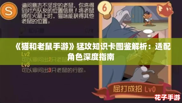 《猫和老鼠手游》猛攻知识卡图鉴解析：适配角色深度指南