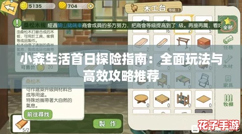 小森生活首日探险指南：全面玩法与高效攻略推荐