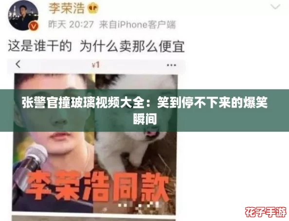 张警官撞玻璃视频大全：笑到停不下来的爆笑瞬间