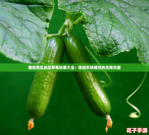 番茄黄瓜丝瓜草莓秋葵大全：体验农场模拟的无限乐趣