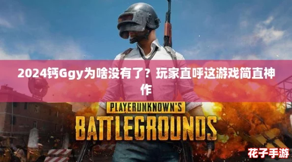 2024钙Ggy为啥没有了?玩家直呼这游戏简直神作 2024钙Ggy为啥没有了?玩家直呼这游戏简直神作