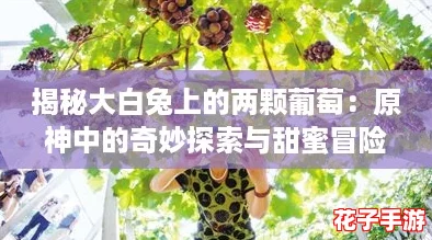 揭秘大白兔上的两颗葡萄：原神中的奇妙探索与甜蜜冒险交织的美味体验