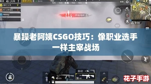 暴躁老阿姨CSGO技巧：像职业选手一样主宰战场