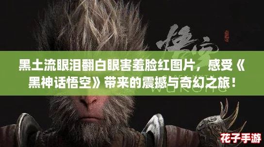 黑土流眼泪翻白眼害羞脸红图片，感受《黑神话悟空》带来的震撼与奇幻之旅！