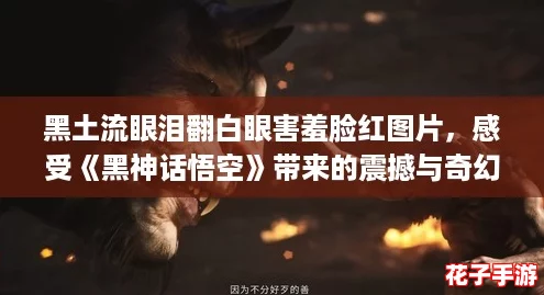 黑土流眼泪翻白眼害羞脸红图片,感受《黑神话悟空》带来的震撼与奇幻之旅! 黑土流眼泪翻白眼害羞脸红图片,感受《黑神话悟空》带来的震撼与奇幻之旅!
