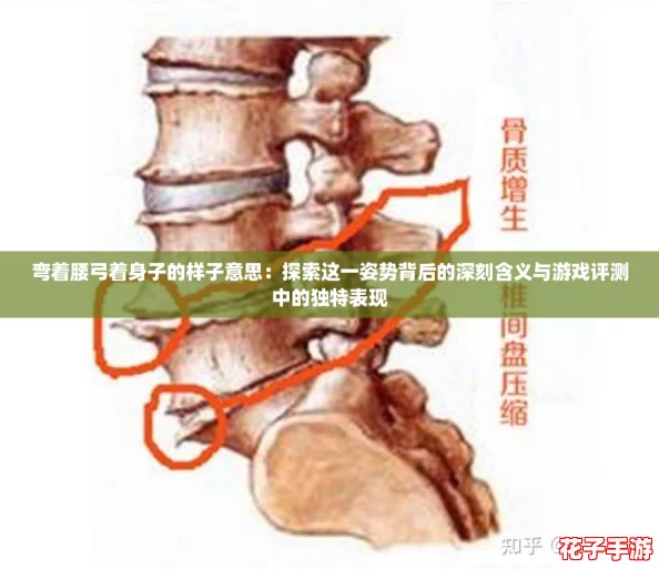 弯着腰弓着身子的样子意思：探索这一姿势背后的深刻含义与游戏评测中的独特表现