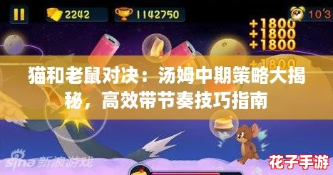 猫和老鼠对决：汤姆中期策略大揭秘，高效带节奏技巧指南