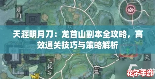 天涯明月刀：龙首山副本全攻略，高效通关技巧与策略解析