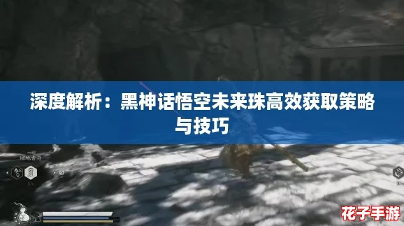 深度解析：黑神话悟空未来珠高效获取策略与技巧