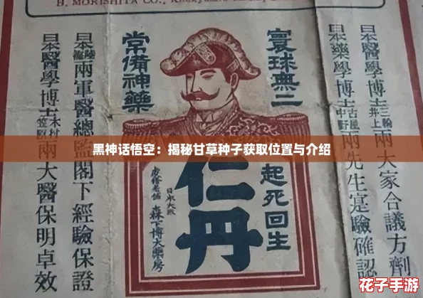 黑神话悟空：揭秘甘草种子获取位置与介绍