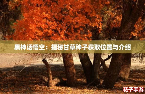 黑神话悟空：揭秘甘草种子获取位置与介绍