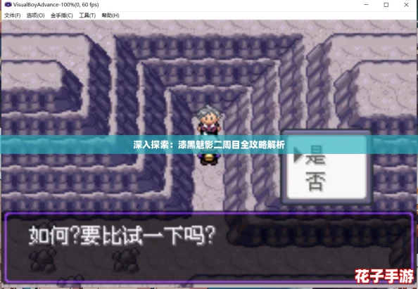 深入探索：漆黑魅影二周目全攻略解析