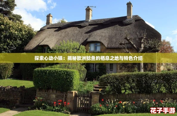 探索心动小镇：揭秘欧洲鲶鱼的栖息之地与特色介绍