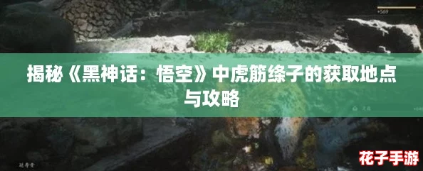 揭秘《黑神话：悟空》中虎筋绦子的获取地点与攻略