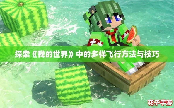 探索《我的世界》中的多样飞行方法与技巧