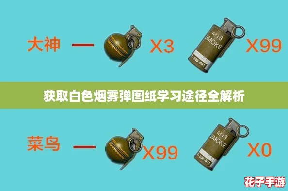获取白色烟雾弹图纸学习途径全解析