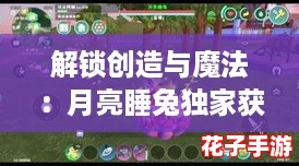 解锁创造与魔法：月亮睡兔独家获取策略详解