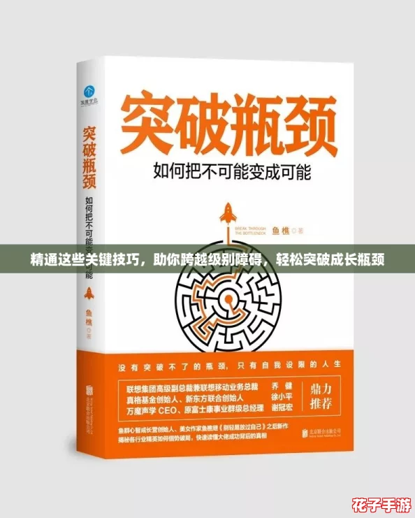 精通这些关键技巧，助你跨越级别障碍，轻松突破成长瓶颈