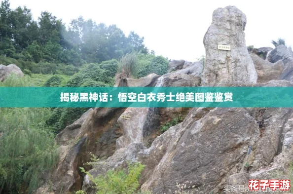 揭秘黑神话：悟空白衣秀士绝美图鉴鉴赏