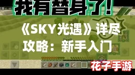 《SKY光遇》详尽攻略：新手入门到全收集通关宝典