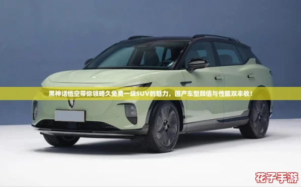 黑神话悟空带你领略久免费一级SUV的魅力，国产车型颜值与性能双丰收！