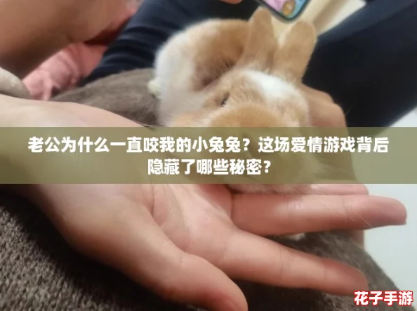 老公为什么一直咬我的小兔兔？这场爱情游戏背后隐藏了哪些秘密？