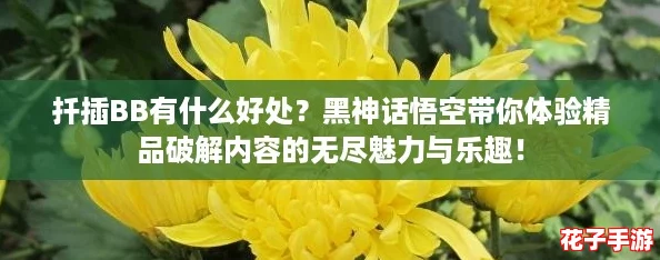 扦插BB有什么好处？黑神话悟空带你体验精品破解内容的无尽魅力与乐趣！