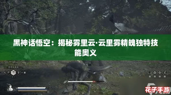 黑神话悟空：揭秘雾里云·云里雾精魄独特技能奥义