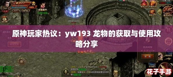 原神玩家热议：yw193 龙物的获取与使用攻略分享