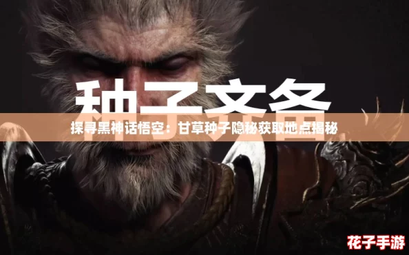 探寻黑神话悟空：甘草种子隐秘获取地点揭秘
