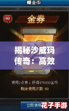 揭秘沙威玛传奇：高效金币获取策略与技巧