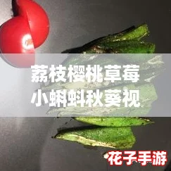 荔枝樱桃草莓小蝌蚪秋葵视频，原神中的奇妙冒险与美食探索之旅